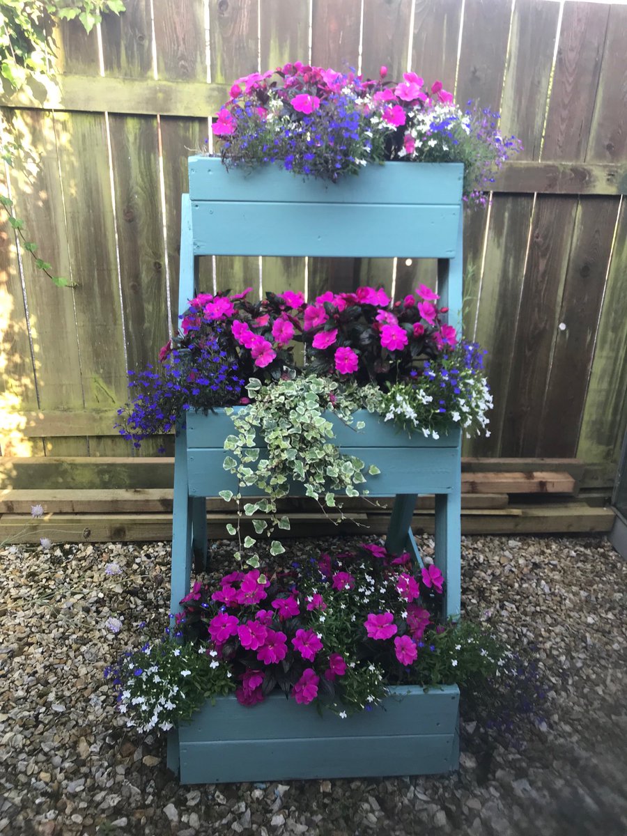 deliam's tweet photo. Flowers in planters brighten your morning #instantcolour #gardening https://t.co/h7W1xMt1gW