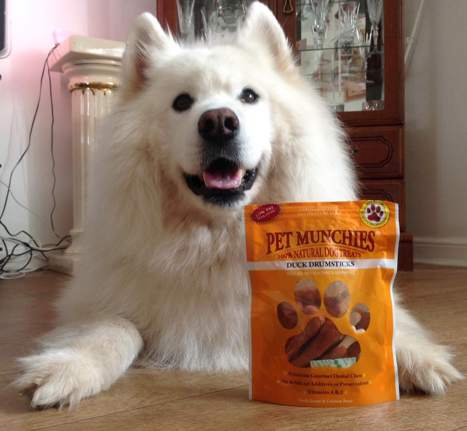 #win #giveaway of #PetMunchies #natural #dog  #pet #treats  #dogtreats  #dogs #competition #dogsoftwitter #duck drumstick  follow &amp; RT 2enter by 20 Aug