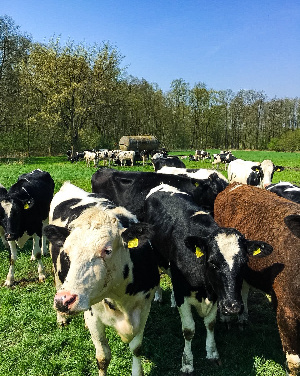 Meat Bringer tweet media