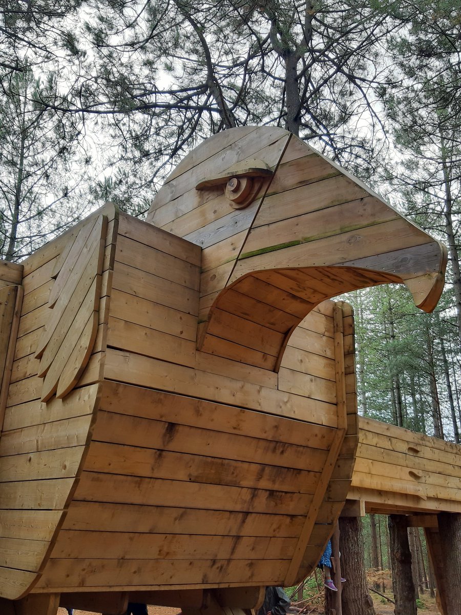 Seeds4Success tweet media