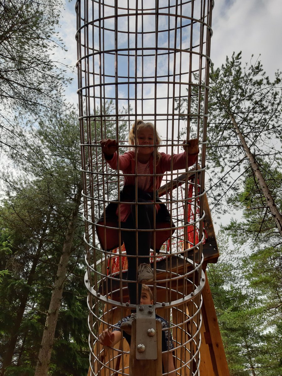 Seeds4Success tweet media