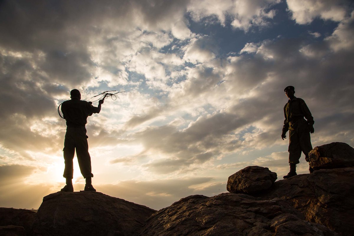 Cheli & Peacock Safaris tweet media