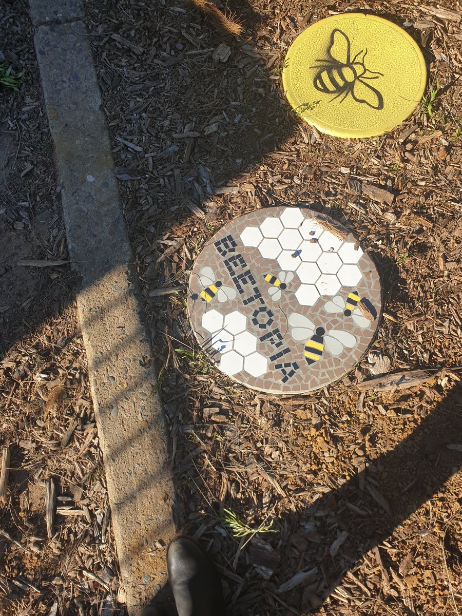Mrs__Bonilla's tweet photo. Visited St Marys North PS yesterday to check out their awesome Beetopia project. Very inspiring! Would love to facilitate a project like this with students. #realworld #savethebees #studentvoice https://t.co/UjRjA22E8y