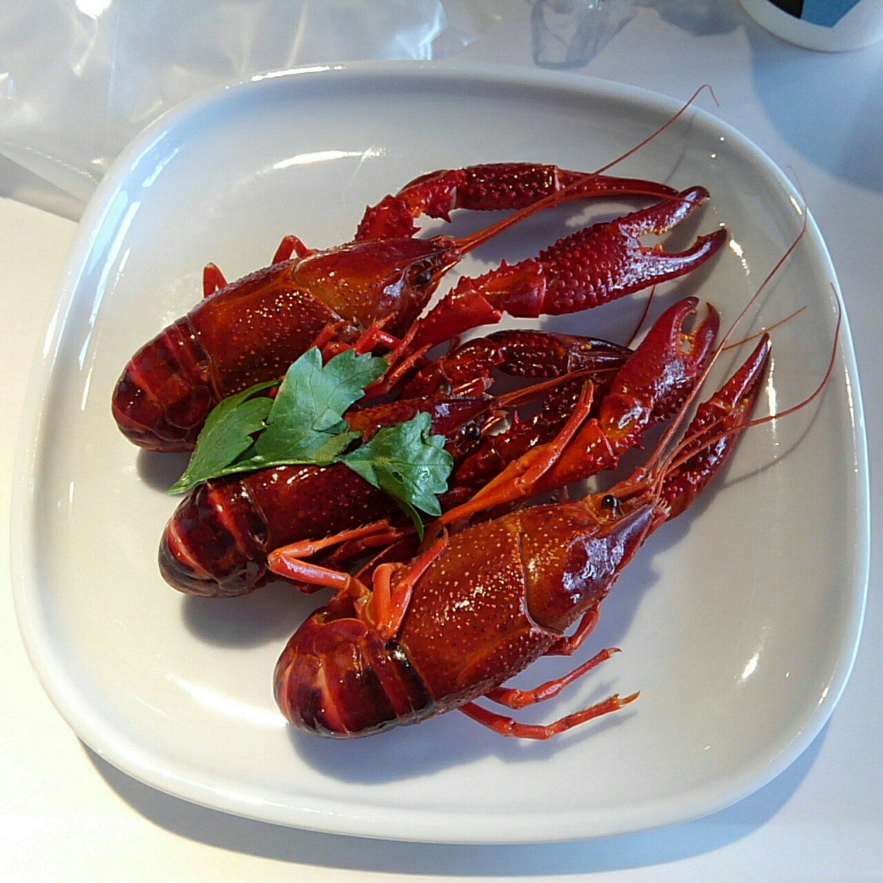 8 14コミケ100東1ホールh 24a夢屋花乃屋 天真楼亮一 実は立川に来たもうひとつの目的はikeaに行ってザリガニを 食べる事でした 食ってみたいじゃないですか ザリガニ 過食部少なかった でも味や食感は伊勢海老に近いです Ikeaでザリガニを食べれるのは18