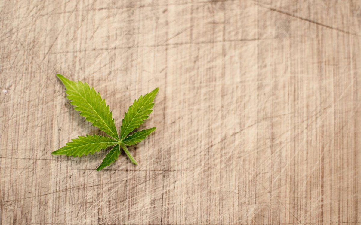 bfmbusiness's tweet photo. Marché mondial du cannabis: une idée de business rentable ? https://t.co/ySh5ukk1NG https://t.co/P1EJWcyTNn