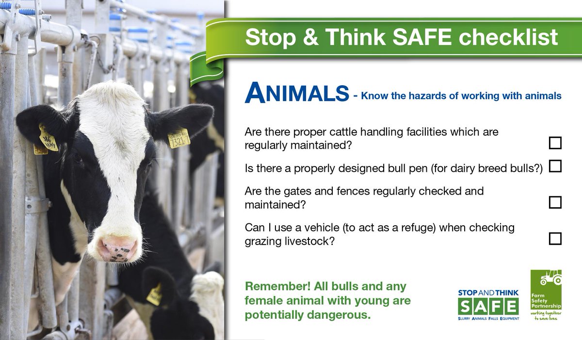 Hsenigov's tweet photo. Animals are one of the four main causes of injury and death on farms, when handling livestock please always Stop and Think SAFE. Use our handy checklist as a guide: https://t.co/cmual2lFZf https://t.co/CCgVgKCL3Y