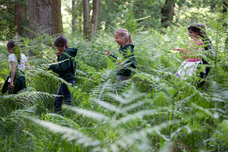 Head down to the Woodland Trail on the 25th &amp; 26th August and discover our bushcraft taster sessions led by the camp leaders of Camp Wilderness!
#BankHoliday #PenshurstPlace #ForestSchool