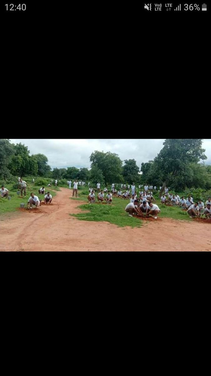 igpacezone tweet media