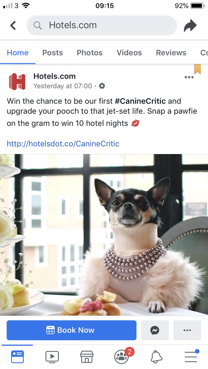 Imagine being <a href="/hotelsdotcom/">Hotels.com</a> and not being able to come up with your own campaign idea so you just imitate something that LITERALLY JUST HAPPENED <a href="/CanineCottages/">Canine Cottages</a>