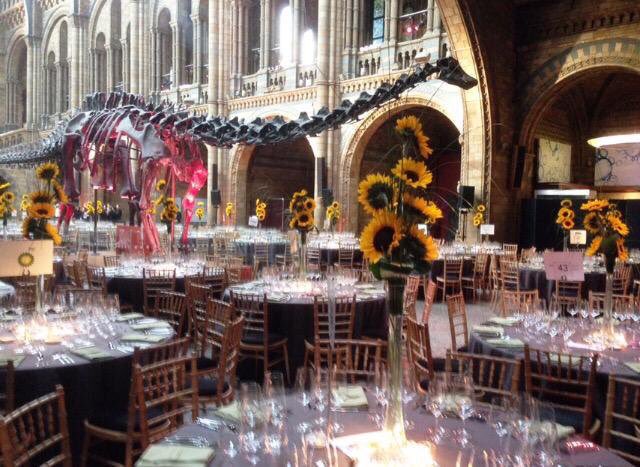 Designer Flowers Uk On Twitter Our Tall Lilly Vases Filled With