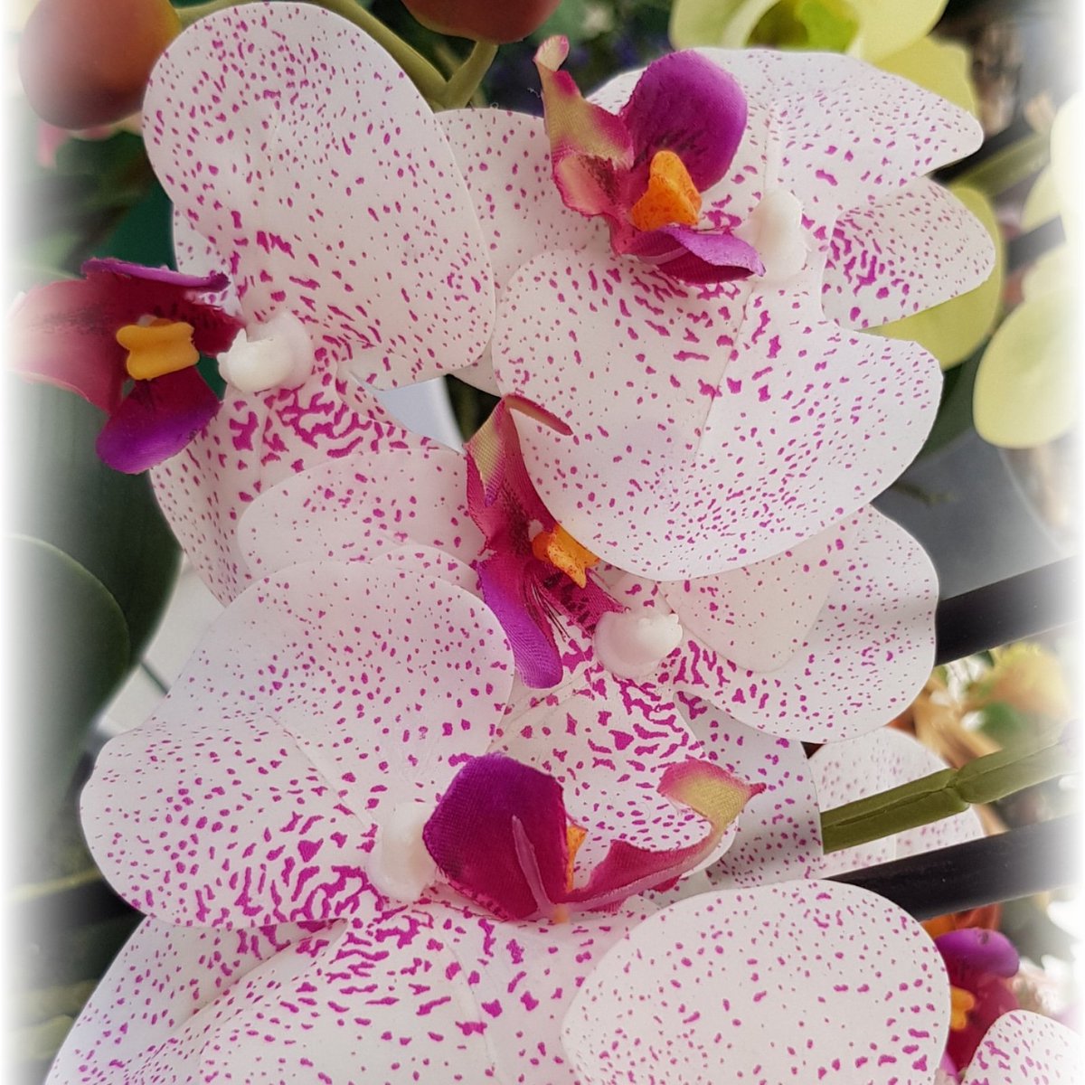 Da sempre il fiore delle Orchidee simboleggia la massima espressione dell’eleganza e dell’armonia. È il fiore che al meglio rispecchia il concetto di bellezza, al quale si collega quello dell’amore e, quindi, della sensualità.