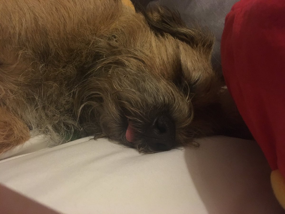 jack_border's tweet image. Me tongue is out 👅 #toungeouttuesday