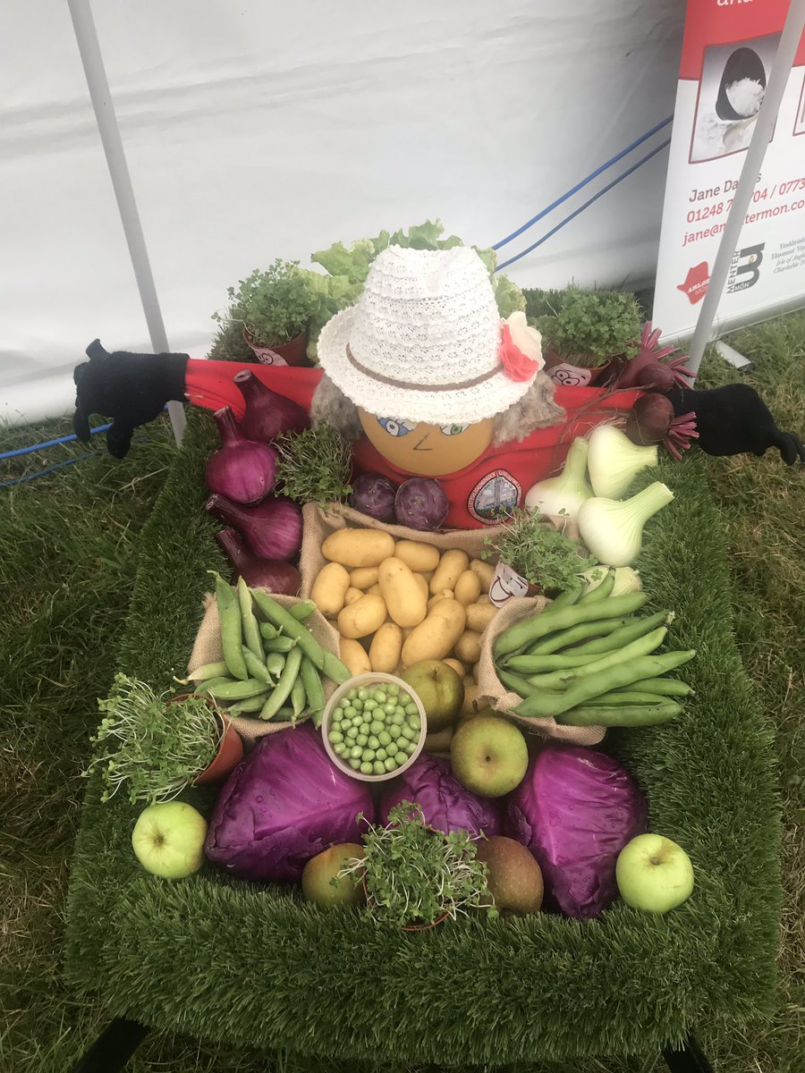 medwynsofangles's tweet photo. Five schools are competing at the Anglesey County Show for the best wheelbarrow of vegetables grown at their respective schools. This is all organised by Menter Mon as a project ‘Grow With Me’ I will start judging them shortly https://t.co/i8aB2P8qfq
