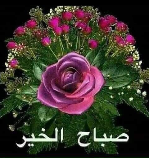 ‏عبد الله القرني ‏أبو محمد (@a_q_87) on Twitter photo 