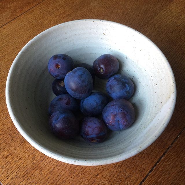 owl_and_monkey's tweet photo. Home-grown fruit: a Tim Fenna pottery and with damsons from a potted tree we have in our small but south facing back yard. There were more in the bowl last night, but then we ate them....
.
.
.
.
.
.
#garden #fruit #homegrown #homegrownfood #simplepleasu… https://t.co/smWWq6M0Pi https://t.co/ZlVa6gvVaU