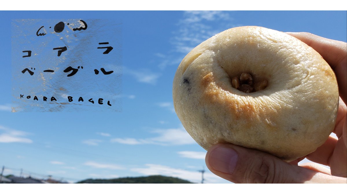 コアラ ベーグル