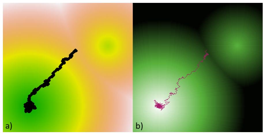 EcographyJourna's tweet image. NetLogoR: A package to build and run spatially explicit agent-based models in R onlinelibrary.wiley.com/doi/10.1111/ec…
#rstats @StatsForBios @simplystats #ESA2019