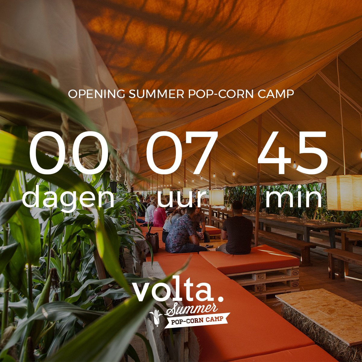 Volta Gent tweet media