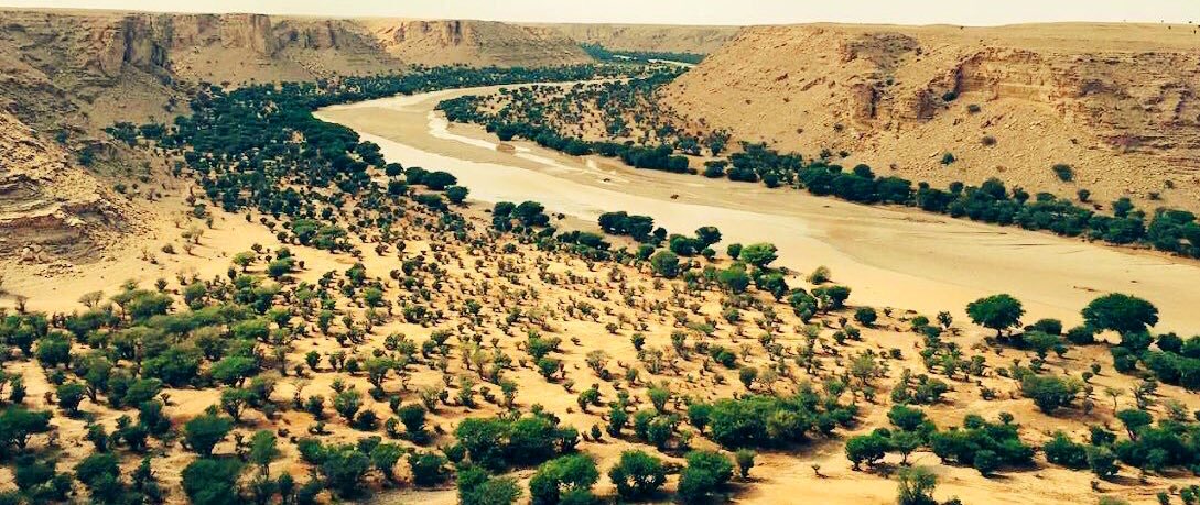 karemhamd92's tweet photo. هل تؤيد منع الرعي و الاحتطاب والصيد على مستوى السعودية 10 سنوات من عام (2020 ) الى ( 2030 ) لإعادة التوازن البيئي ولحماية الاشجار وزيادة الغطاء النباتي ، شاهد بعض الأودية اللتي تم توفير الحماية لها لعدة سنوات أصبحت غابة من الاشجار 🌳

- مؤيد : رتويت 
- غير مؤيد : أعجاب https://t.co/59xXmWtxhb