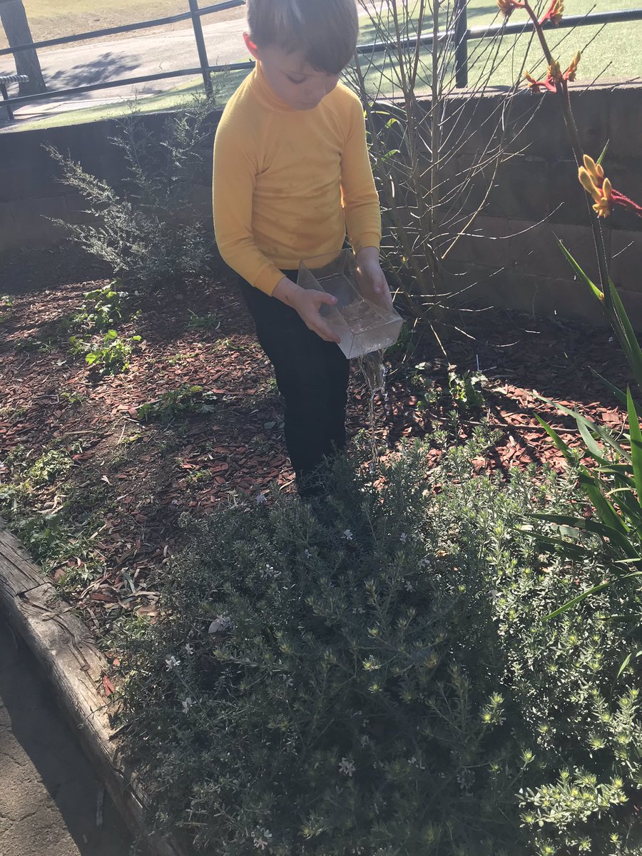 1LR have loved learning about volume and capacity while coming up with sustainability solutions. They have stopped 9 litres of water from going down the drain by collecting dripping water at the bubblers at lunchtime! @Clapturn <a href="/amy_hodgson3/">Amy Hodgson</a> #ThisIsBlairmount