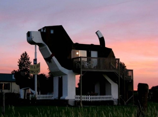 Denver le Dino tweet media