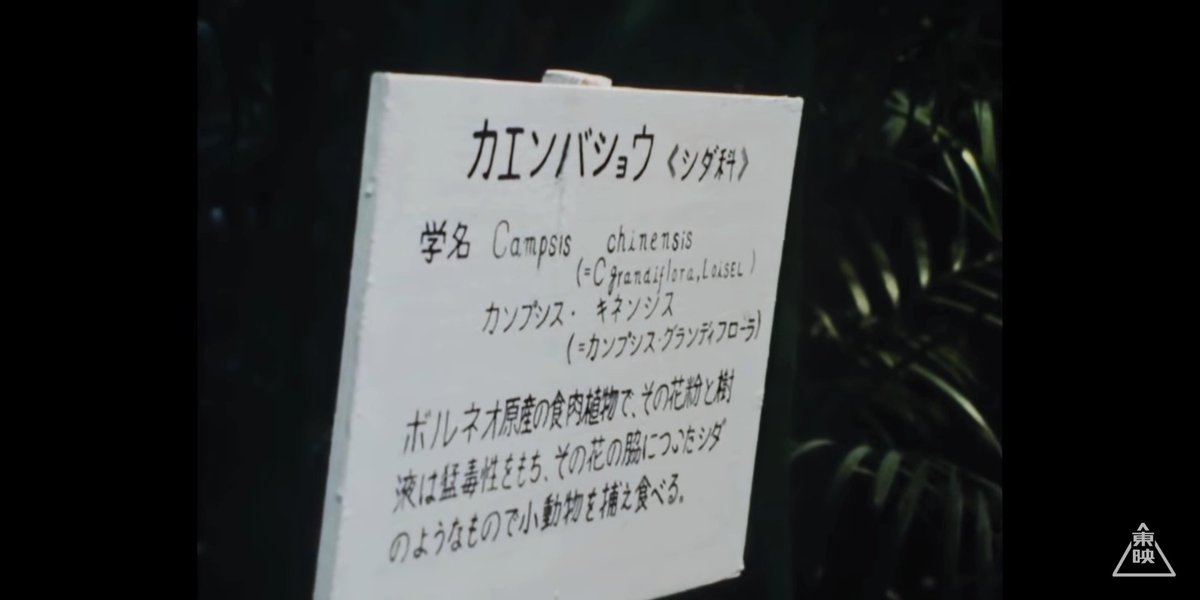 仮面ライダーv3 39話 人喰い植物 バショウガンの恐怖 レビュー Togetter