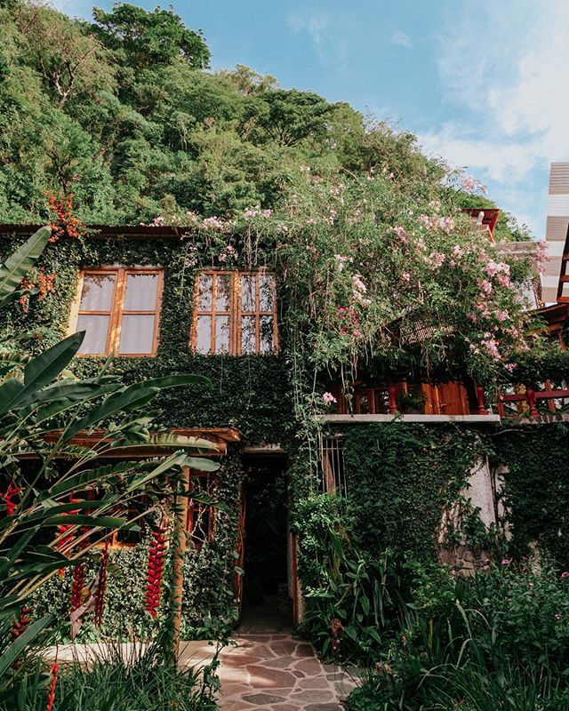 Lush Atitlan tweet media