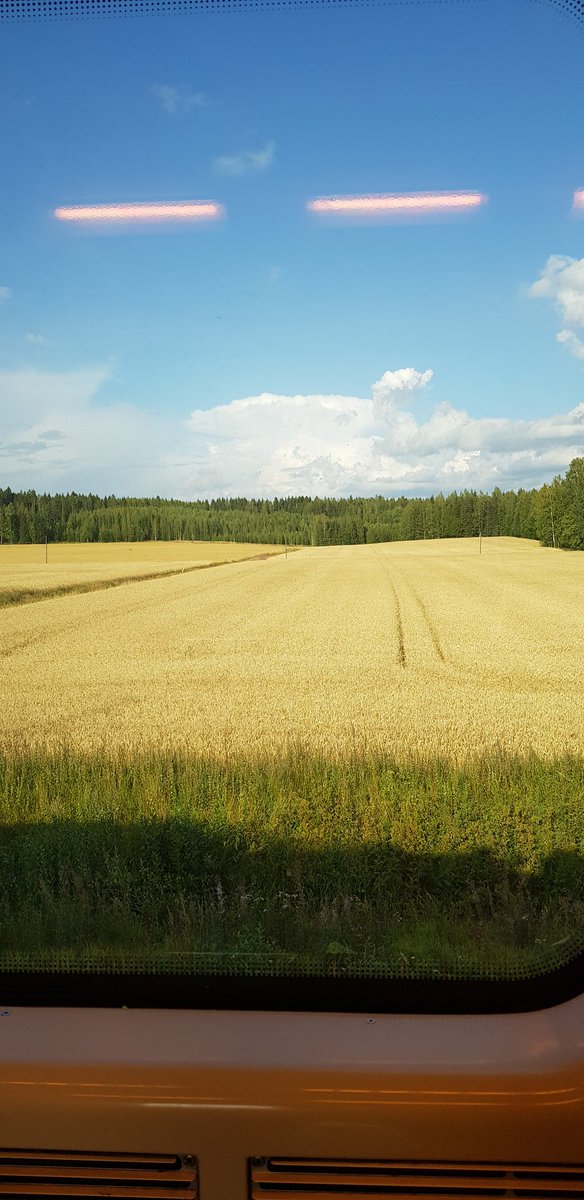HeliOjala's tweet photo. Henkilövahingon vuoksi juna jäi harmittavasti jumiin muutama kilsa ennen omaa pysäkkiä. Konduktööri kuulutti, että "Ei hätää, kyllä me syksyyn mennessä perille päästään". Sitä odotellessa 😂 #vainparikuukautta #syksytulejo #commuting @VRmatkalla https://t.co/ISZhyRl6Fk