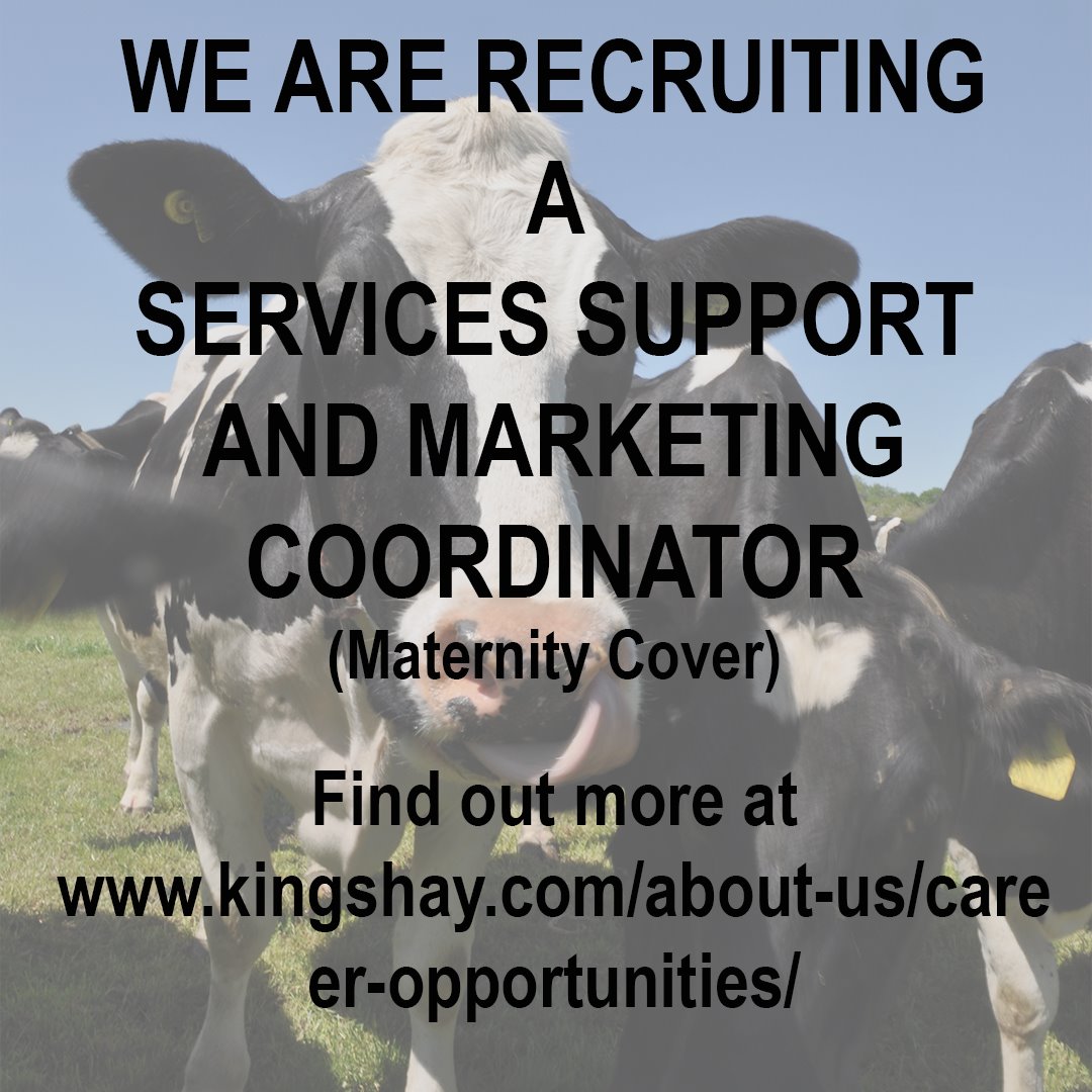 KingshayFarming's tweet photo. We are recruiting a services support coordinator on maternity cover to join our team at our Glastonbury office.
For the full job description, visit https://t.co/UlyLIfFKxg
#teamdairy #jobadvert #somerset #dairyfarming #maternitycover #servicessupport #marketing #officesupport https://t.co/3b2CnINQxs