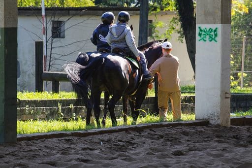 A solidariedade que combate a doença - IGP-RS