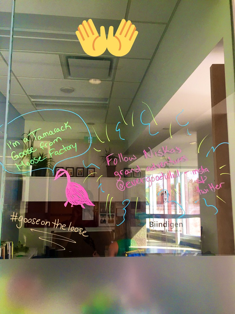 evergoodulul's tweet photo. Loving our new office space, utilizing our window to give shout outs to what’s going! #gooseontheloose #newoffice #indigenousspace #islc #isalaurentian @bourgeaulttasse https://t.co/UwCNfqpfuZ