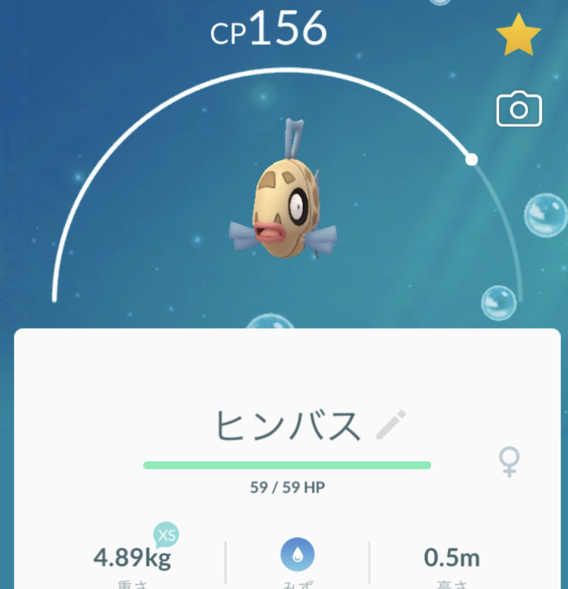 ショウイチ チビ 高三受験生やのに に釣られて ポケモンgoを再開して ようやくヒンバスをゲット タマゴから孵化やけど サボってたジョギングも再開して ヒンバスのアメを稼いで ついでに体重も落とそっと ショウイチ チビ 高三受験生やのに に釣られて ポケモンgoを再開して ようやくヒンバスをゲット タマゴから孵化やけど サボってたジョギングも再開して ヒンバスのアメを稼いで ついでに体重も落とそっと