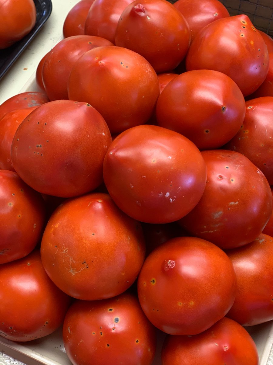 GoebbertsFarm's tweet photo. We have #FarmFreshGoebbertGrown tomatoes in the market! Bring on all the recipes that will feature these beauties! https://t.co/BaGRc0vBre