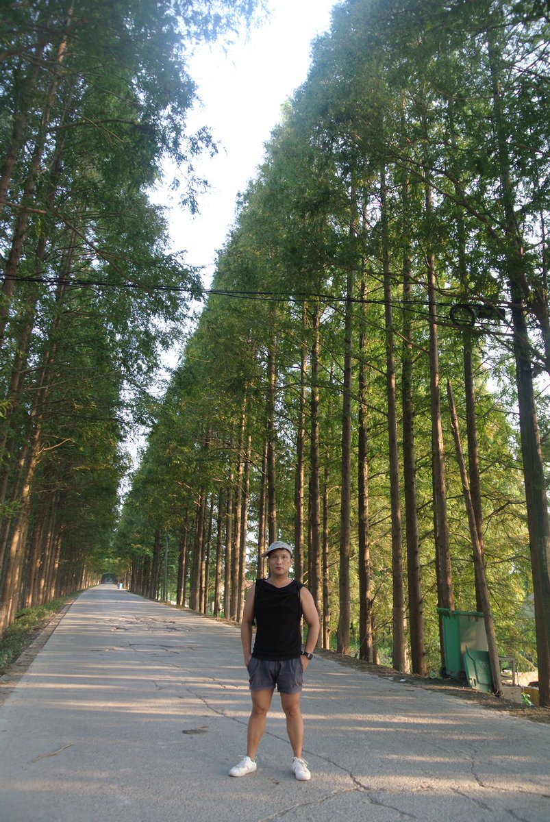 bernie_regis's tweet photo. I am Fine Trees ! Lol https://t.co/LASOvyEXDq