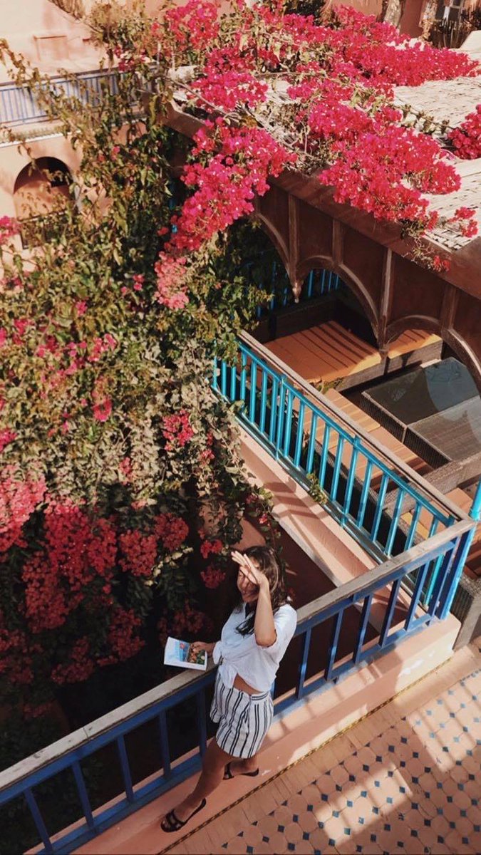ShakaSurfMoroc's tweet photo. T R A D I T I O N A L
A C C O M M O D A T I O N
Some great shots from our recent guests and their impressions of our traditional surf riad accommodation.
#morocco #moroccanpinks #riad #surfholidays #nature #surfaccommodation #surfholiday #surfschool #surfcamp #moroccanstyle https://t.co/uEuIIXHrTh