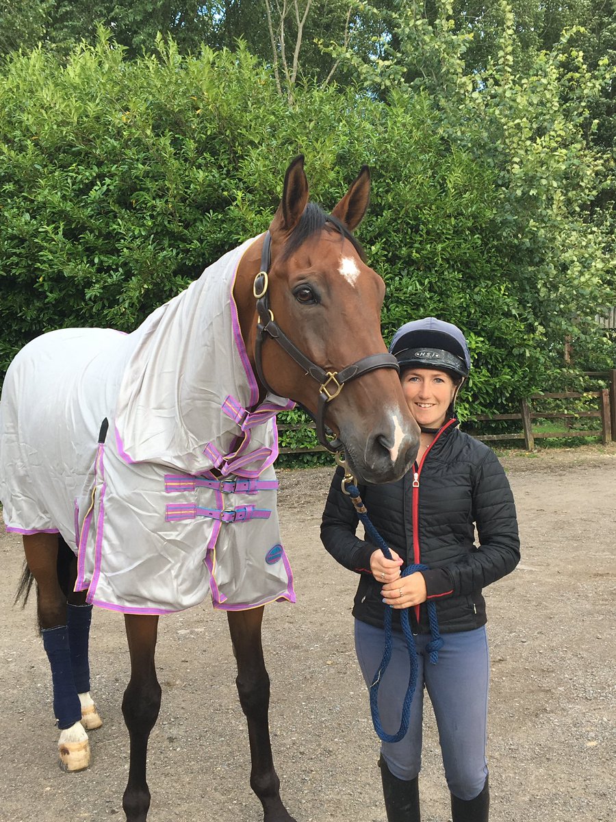CollettEventing's tweet photo. London 52 absolutely LOVES his new @WeatherBeetaUK Comfitec Essential fly sheet 😍 #Comfy #NoFliesOnHim https://t.co/xlCnBznrqi