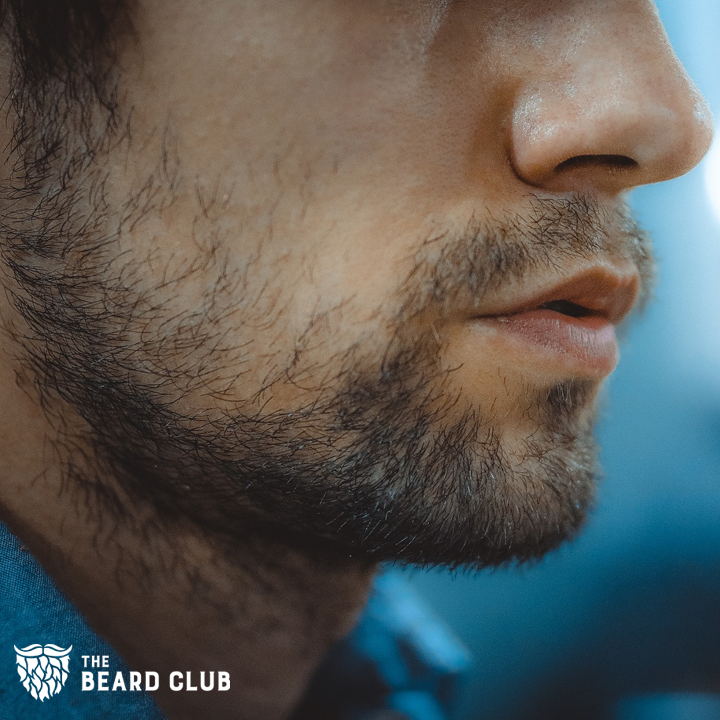 thebeardclub's tweet photo. If your beard's going through a rough patch (or two), check out our blog on how to fix it.
https://t.co/rZiH9WL8GE
#beardadvice #beardclub #stubble #beardhelp #beardlife https://t.co/YkvQ9ZbR30