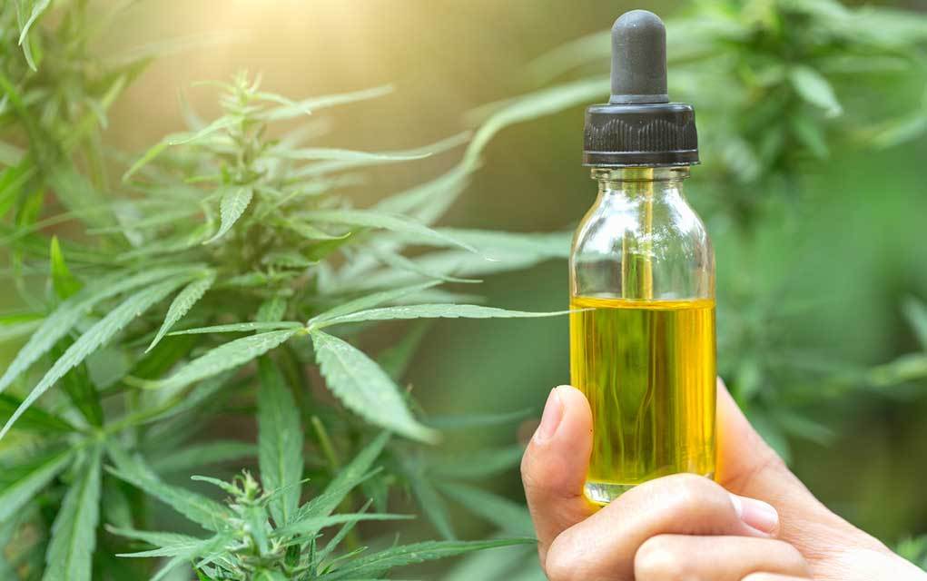 wellnessgroup's tweet image. Capsules, Creams and Oils: Which Form of CBD is Best? wellness.com/blog/13295345/… on the #WellnessBlog