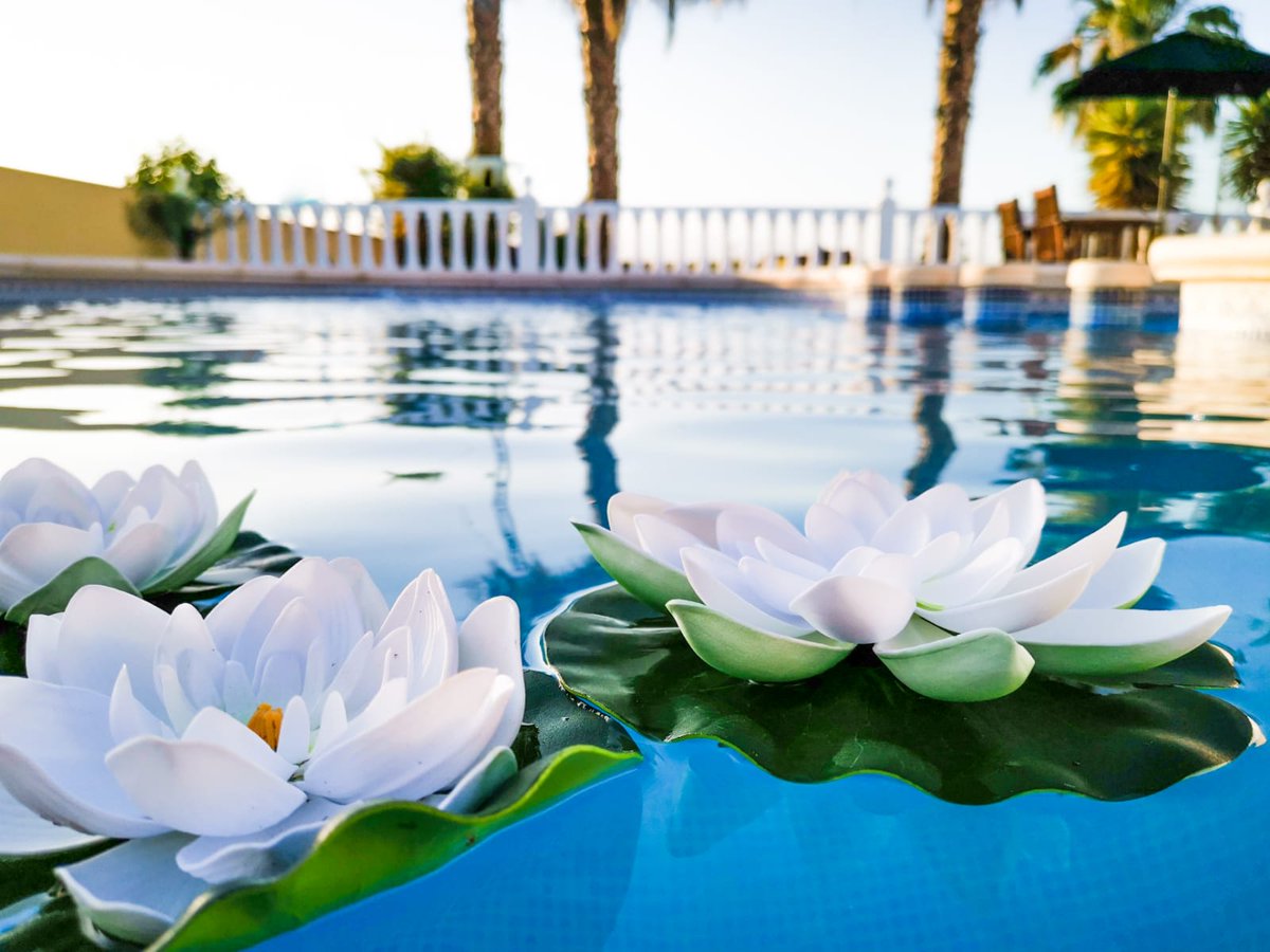 ReviewMyRetreat's tweet photo. Intimate Cosy #Retreat in Spain?
The Clarity Retreat Spain retreats include #counselling and #psychotherapy, #mindfulness at sunset, yoga, massage, countryside walks and bike rides, a scrummy plant-based menu and so much more. 😍
https://t.co/xw3J5lSxEM

#spainretreat https://t.co/r2JehxU78f