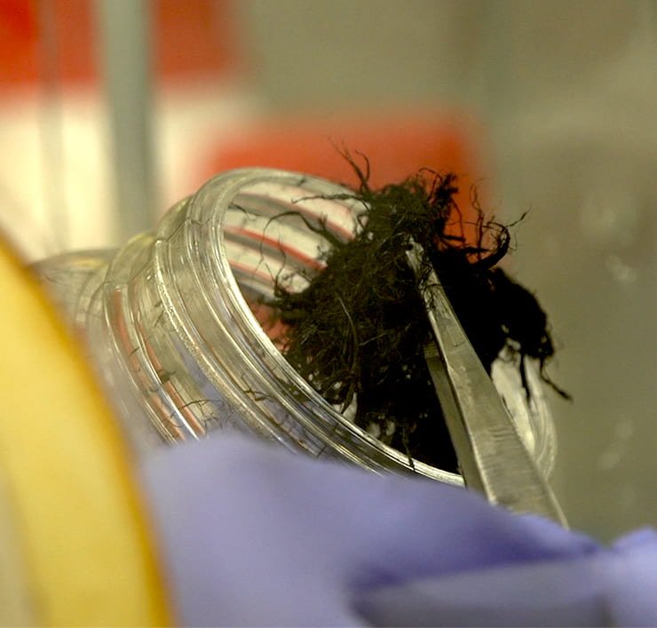 RiceUNews's tweet photo. Damaged hearts rewired with nanotube fibers | @Texas_Heart doctors confirm #RiceUniversity-made, conductive carbon threads are electrical bridges https://t.co/KuYVcZCYPv https://t.co/jPdK9gzbRa