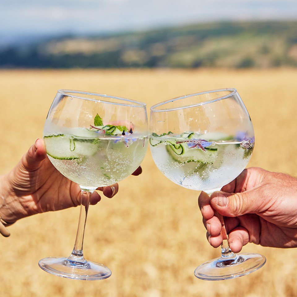 🔊Proud to welcome <a href="/PenrhosSpirits/">Penrhos Spirits</a> to #IDE19 ‼ Meet the two farming families at stand E30 and discover their Gin distilleries based in the heart of Herefordshire🍸🍸 bit.ly/IDEweb #FES19