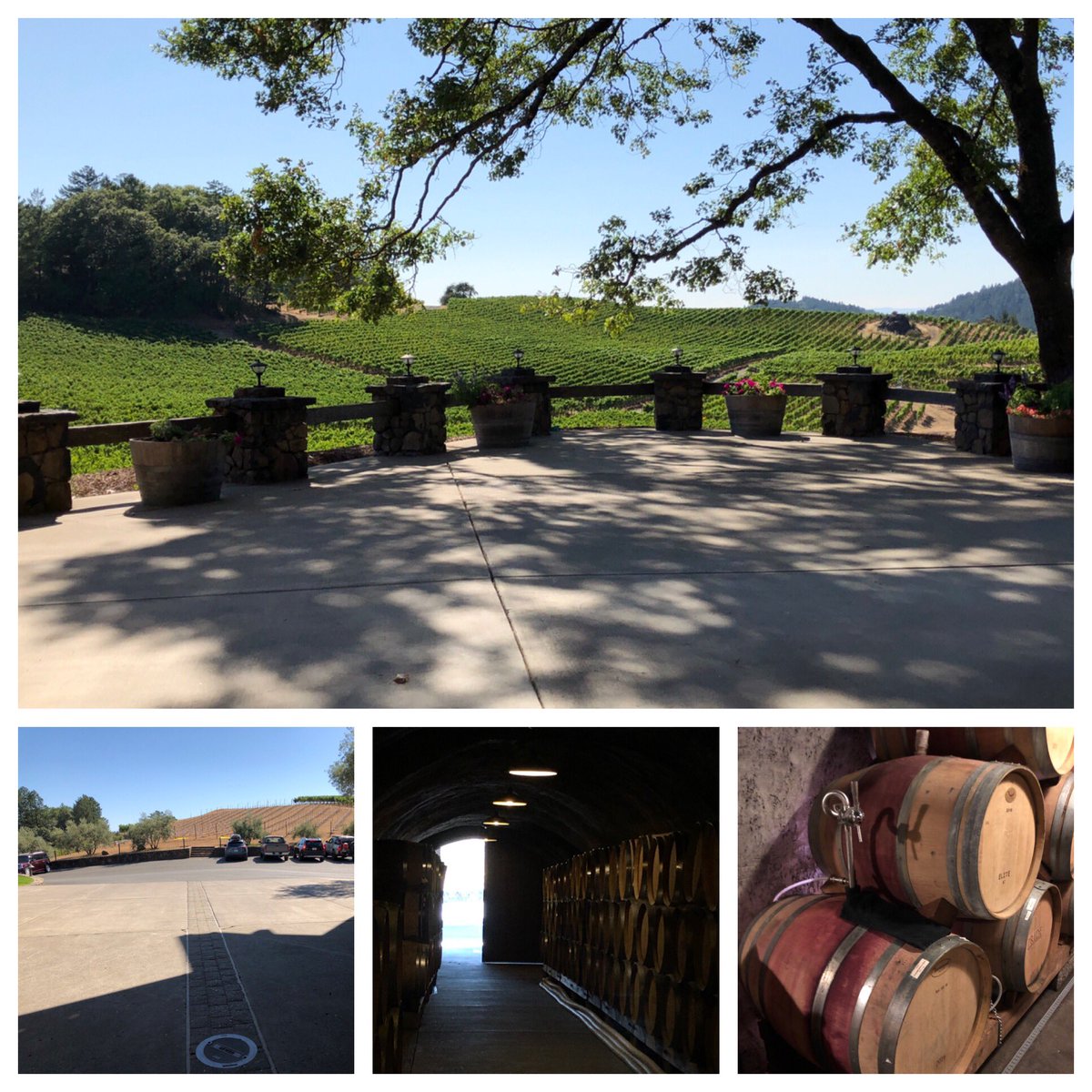 The ability to produce a wide range of grape varieties <a href="/pridewines/">Pride Wines</a> is understandable w/ visiting. Every exposure + elevation (2k+ft) help their ability to make such high quality wines. A unique quirk; the winery straddles Napa &amp; Sonoma counties what a paperwork🤯 #KBNapaTrip19