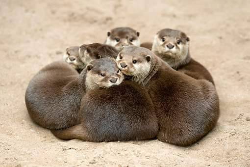 Ultimate Problems tweet media