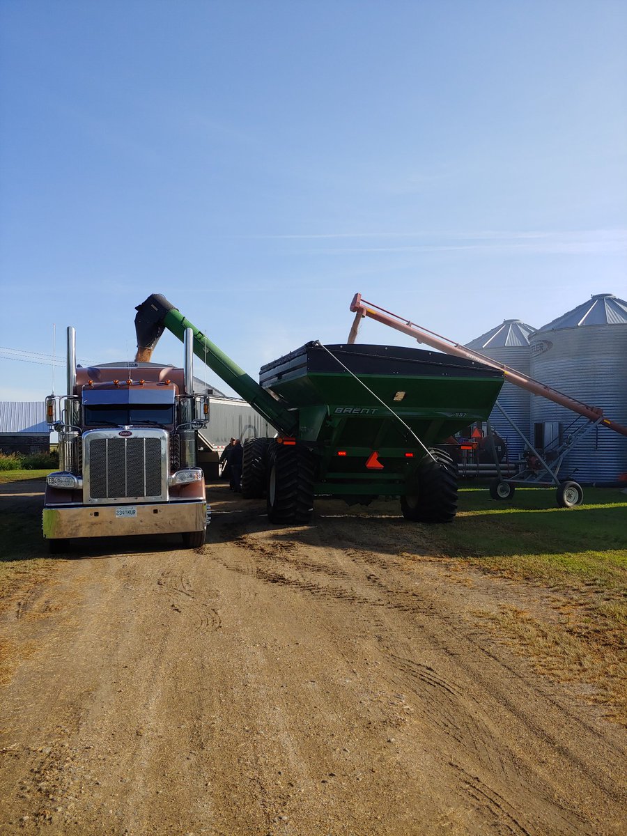 james_dyok's tweet photo. Just another day at the office ๐
#peterbiltlife
#cleanoutharvest18
#readyforharvest19
#thankafarmerforyourfood https://t.co/0p3tcAilvG
