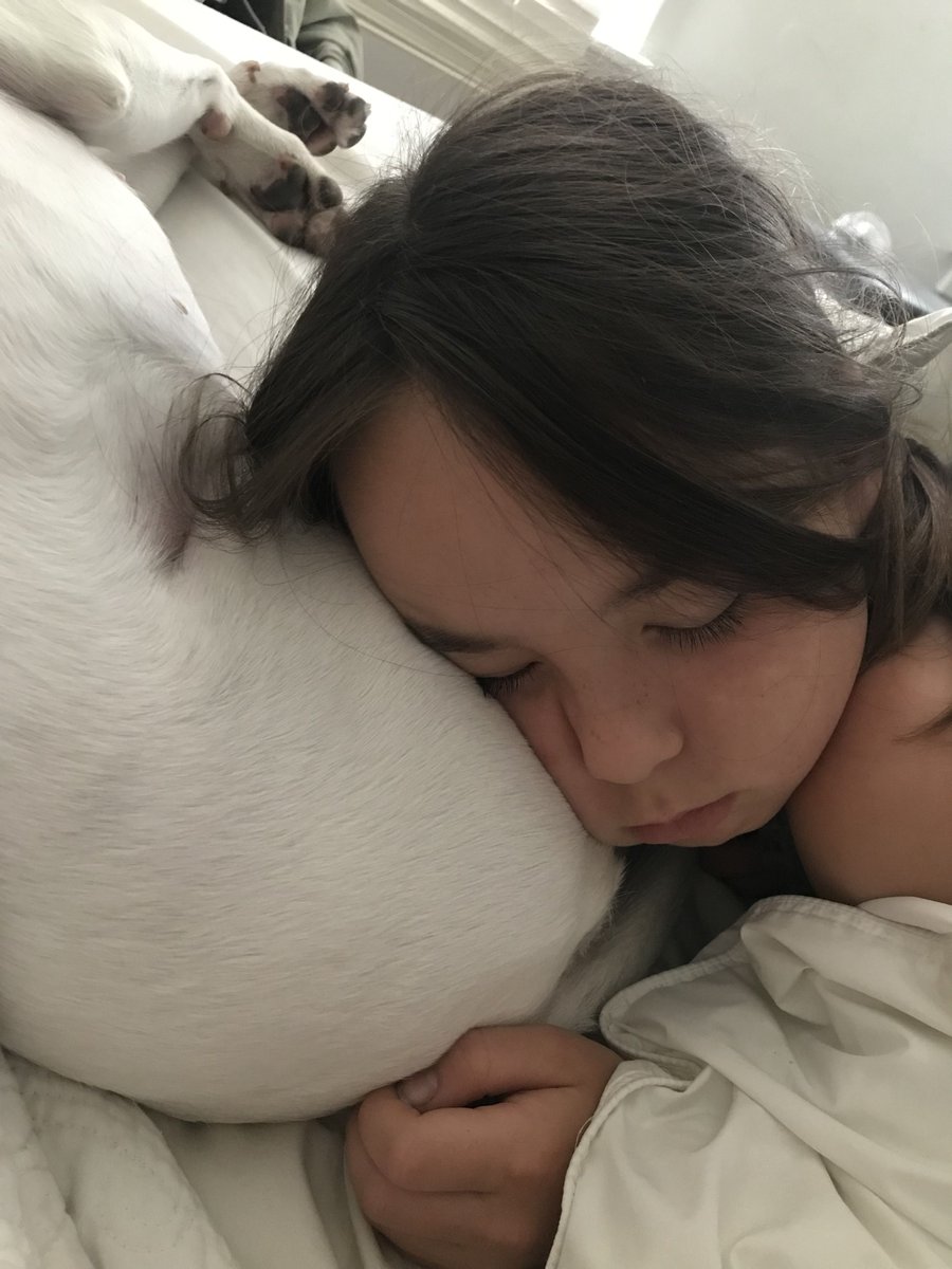 too_licky's tweet photo. Dog butts make the best pillows. bahahaha
.
.
.
.
#Sugar #TooLickybook #rescuedog #rescue #adoptadog #dogsarefamily #savealife #doglovers #theirlifematters #adoptdontshop https://t.co/Pf9mTS90Bb https://t.co/dfoh3si67D