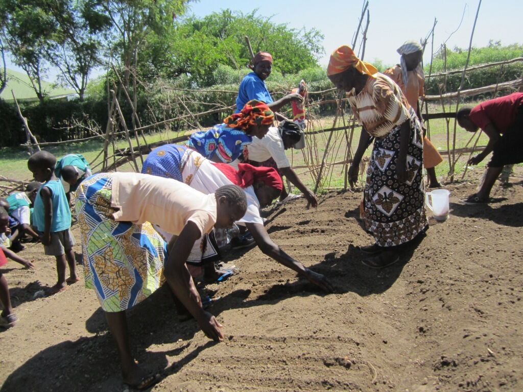 So excited to announce that we have funded the Moringa Tree training of another 50 community members in rural #Kenya! Volunteers will learn how to utilize the trees in their communities.

#Donate: villagevolunteers.org/donate/

#Volunteer #abroad #Africa #makeadifference #empowerment