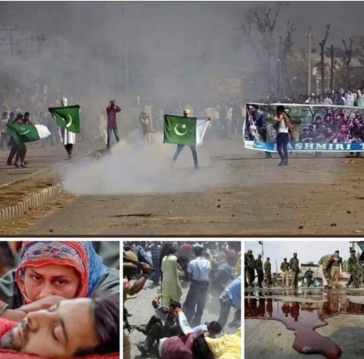 mk_mudassirkhan's tweet photo. کشمیر میں آزادی کی صبح طلوع ھوگی بہت جلد۔۔۔ انشااللہ❤🇵🇰❤

 اے اللہ ہمارے کشمیری بھائیوں کو آزادی نصیب فرما
 آمین یا رب العالمین

 #Rightofselfdetermination
#stopkillinginnocentpeople https://t.co/4Hsi7IBOG5
