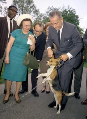 CutClassPodcast's tweet image. LBJ used to pick up his dogs Him and Her by their ears...it sparked some backlash from animal lovers.  It’s also just the tip of the iceberg when it comes to coarse, vulgar, and boorish Lyndon. Get ready brother, LBJ is headed your way! #Beagles #LBJ #coarse #Dontdothat #benice