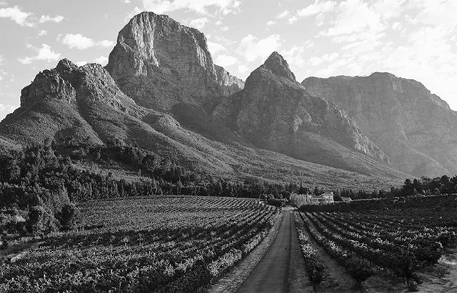 Wine Source UK tweet media