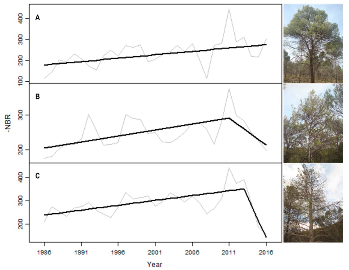 MsterGEOFOREST's tweet photo. Estudio de la defoliación causada por ‘Candidatus Phytoplasma pini’ a través de la selección de curvas en la series de tiempo Landsat
https://t.co/0kSkMoxsmC
#Forestdisturbance #Pinusforest #Phytoplasma #Defoliationmapping #LandsatTimeSeries #GoogleEarthengine
@CordobaCiencia https://t.co/Gw5QdEsQ8R